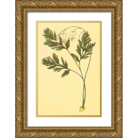 Squirrel Corn Gold Ornate Wood Framed Art Print with Double Matting by PI Collection