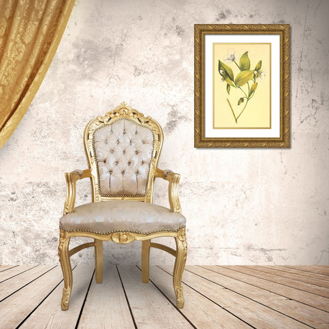 Wild Mock  Gold Ornate Wood Framed Art Print with Double Matting by PI Collection