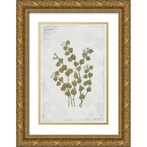 Patridge Berry Gold Ornate Wood Framed Art Print with Double Matting by PI Collection