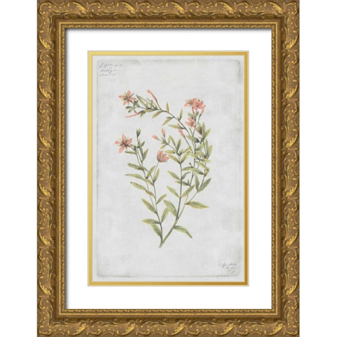 Buds Vol. IV Tav Gold Ornate Wood Framed Art Print with Double Matting by PI Collection