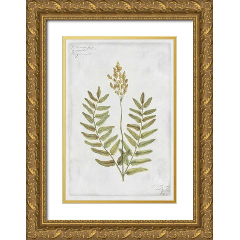 Flowering Fern Stem Gold Ornate Wood Framed Art Print with Double Matting by PI Collection