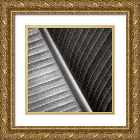 Pam Leaves II Gold Ornate Wood Framed Art Print with Double Matting by Cotter, Rick