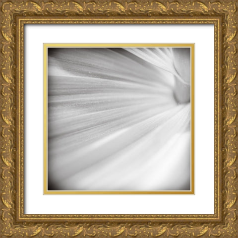 Wave Leaf IV Gold Ornate Wood Framed Art Print with Double Matting by Cotter, Rick