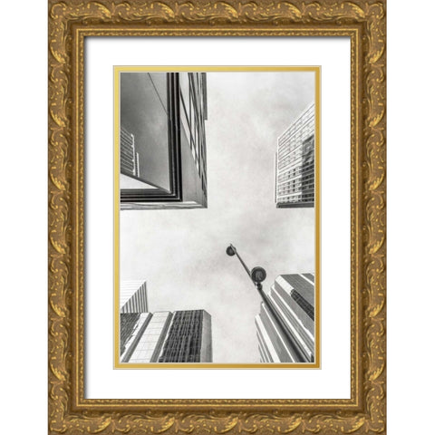 Arc I Gold Ornate Wood Framed Art Print with Double Matting by Cotter, Rick