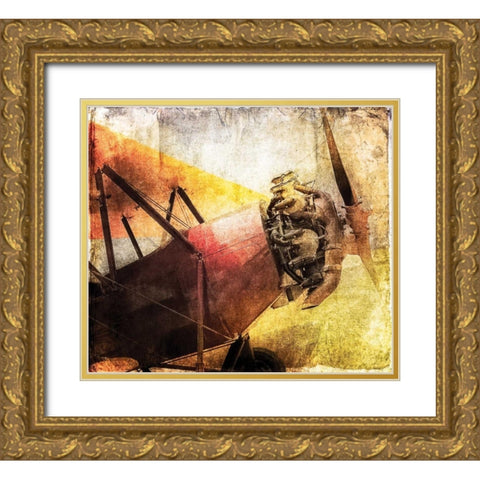 Boyancy II Gold Ornate Wood Framed Art Print with Double Matting by James, Richard