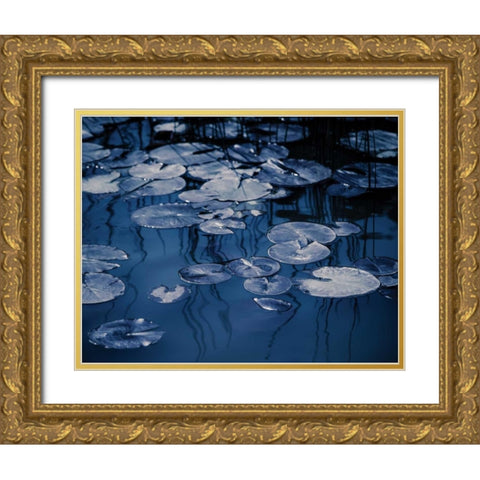 Lilly Pond Blue VII Gold Ornate Wood Framed Art Print with Double Matting by Cozart, Rebecca