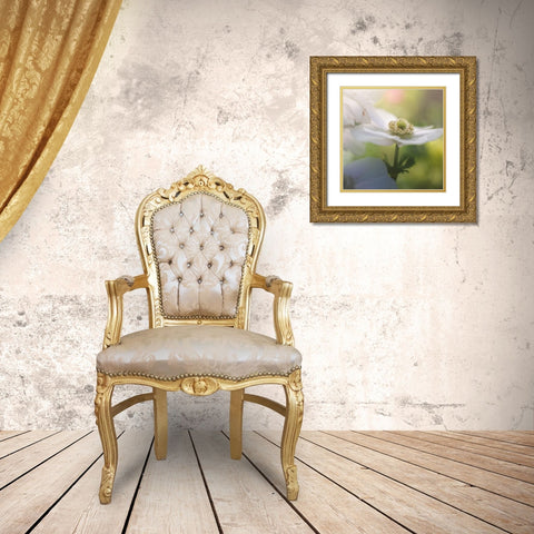 Chiffon I Gold Ornate Wood Framed Art Print with Double Matting by Schenck, Robert