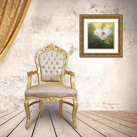 Chiffon II Gold Ornate Wood Framed Art Print with Double Matting by Schenck, Robert