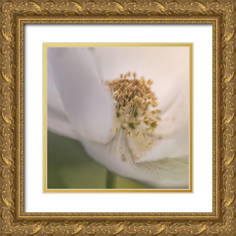 Chiffon IV Gold Ornate Wood Framed Art Print with Double Matting by Schenck, Robert