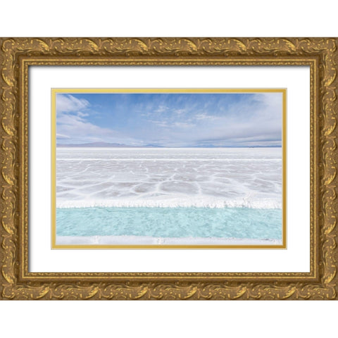 Salta Argentina II Gold Ornate Wood Framed Art Print with Double Matting by Silver, Richard