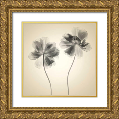 Soft I Gold Ornate Wood Framed Art Print with Double Matting by Stalus, Judy