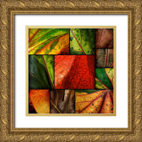 Patch Leaves Gold Ornate Wood Framed Art Print with Double Matting by Scaroni, Roberto