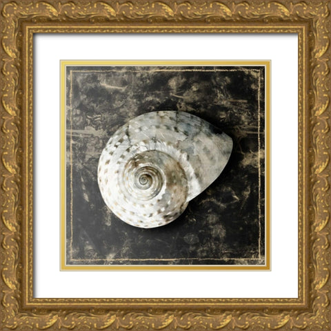 Marble Shell Series II Gold Ornate Wood Framed Art Print with Double Matting by Selkirk, Edward