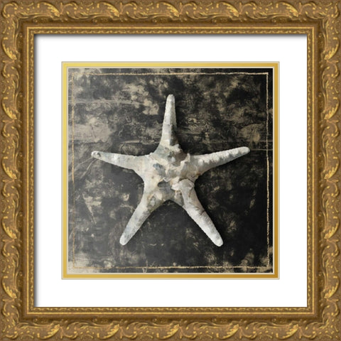 Marble Shell Series III Gold Ornate Wood Framed Art Print with Double Matting by Selkirk, Edward