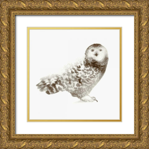 Owl Gold Ornate Wood Framed Art Print with Double Matting by Selkirk, Edward