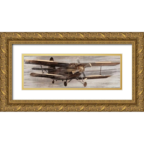 Craving Altitude Gold Ornate Wood Framed Art Print with Double Matting by Selkirk, Edward