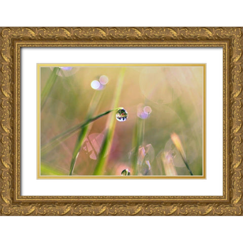 Waterdrop Gold Ornate Wood Framed Art Print with Double Matting by Cook, Sylvia