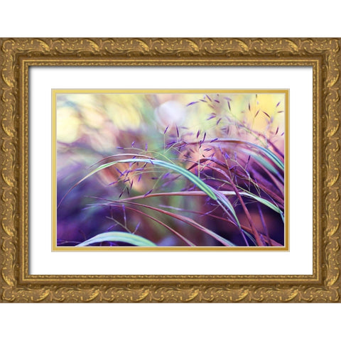 Purple grass Gold Ornate Wood Framed Art Print with Double Matting by Cook, Sylvia