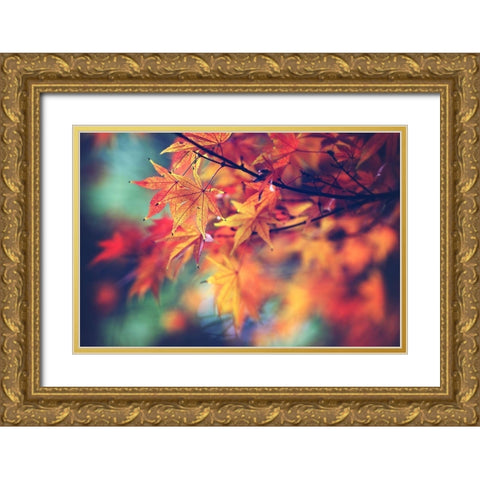 Fall Leaves Gold Ornate Wood Framed Art Print with Double Matting by Cook, Sylvia