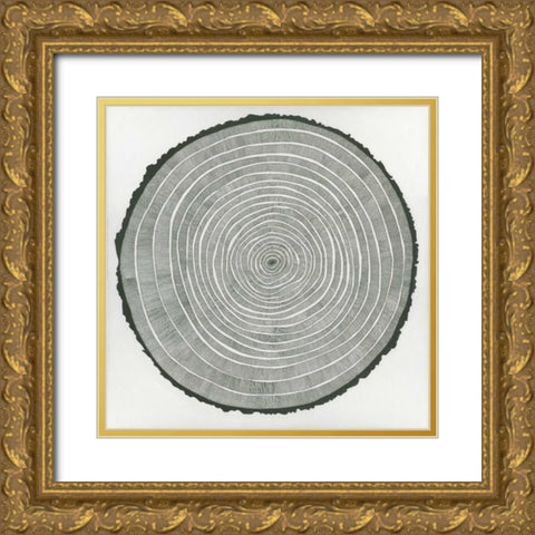 Tree Theory Gold Ornate Wood Framed Art Print with Double Matting by Pelliser, Sandrine