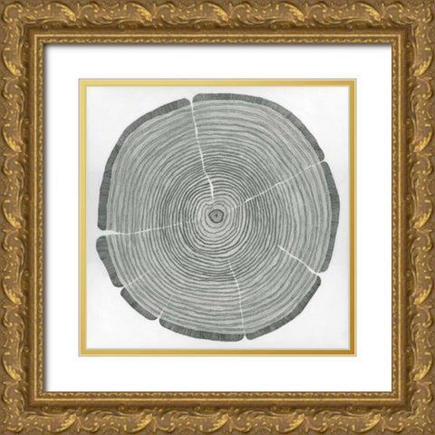 Time Lines Gold Ornate Wood Framed Art Print with Double Matting by Pelliser, Sandrine