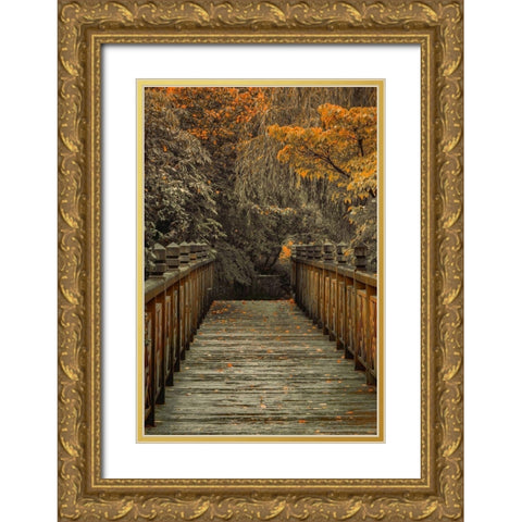 Across the Bridge Gold Ornate Wood Framed Art Print with Double Matting by Schwartz, Don