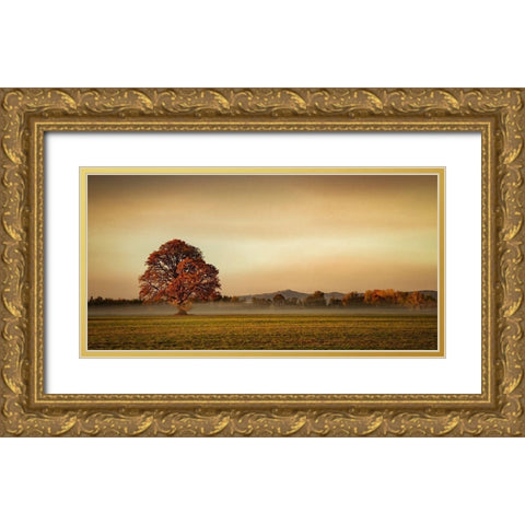 Touched by Fog Gold Ornate Wood Framed Art Print with Double Matting by Schwartz, Don