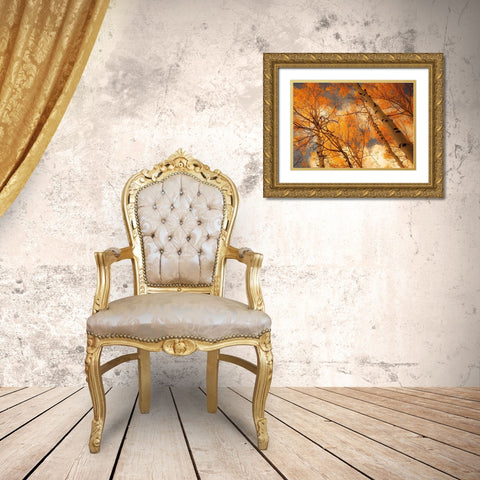 Towering Aspens Gold Ornate Wood Framed Art Print with Double Matting by Schwartz, Don