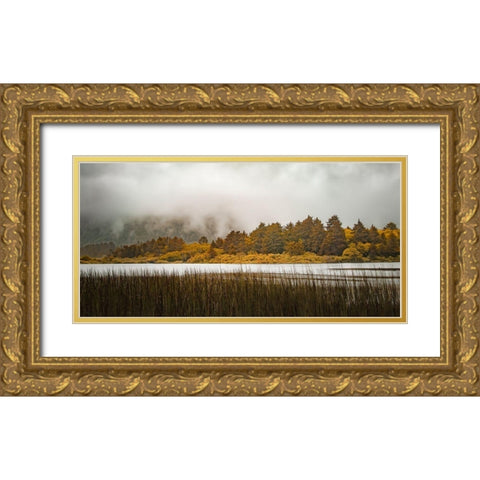 Lakeside Burst  Gold Ornate Wood Framed Art Print with Double Matting by Schwartz, Don