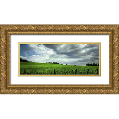 Rolling Vineyard  Gold Ornate Wood Framed Art Print with Double Matting by Schwartz, Don