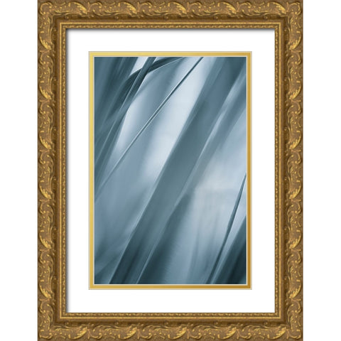 Blades of Grass  Gold Ornate Wood Framed Art Print with Double Matting by Schwartz, Don