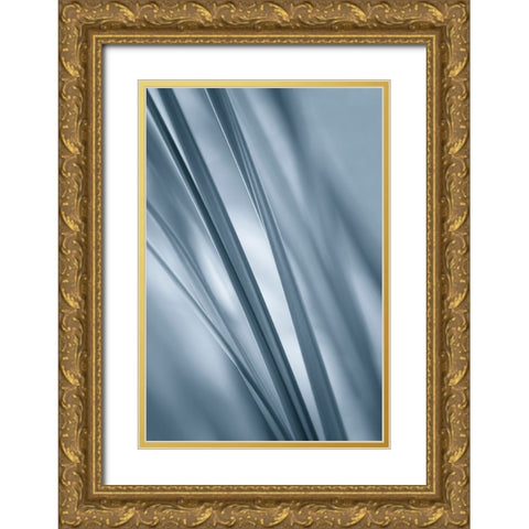 Slanting  Gold Ornate Wood Framed Art Print with Double Matting by Schwartz, Don