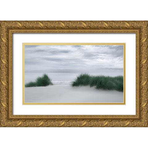 View Through the Dune Grasses Gold Ornate Wood Framed Art Print with Double Matting by Schwartz, Don