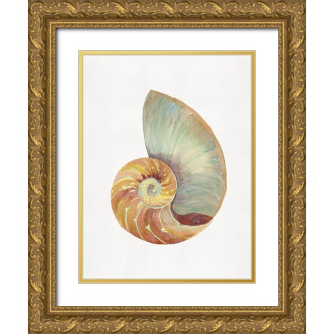 Nautilus Shell I  Gold Ornate Wood Framed Art Print with Double Matting by Stellar  Design Studio