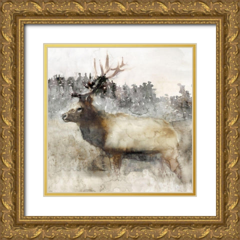 Mountain Elk II Gold Ornate Wood Framed Art Print with Double Matting by Stellar Design Studio