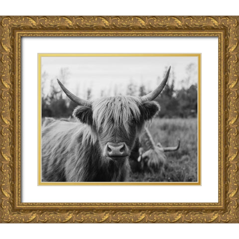 Cattle Smile  Gold Ornate Wood Framed Art Print with Double Matting by Kedron, Chelsea