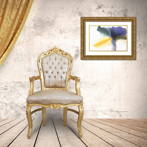 Fluttering Gold Ornate Wood Framed Art Print with Double Matting by McFarland, Vicki