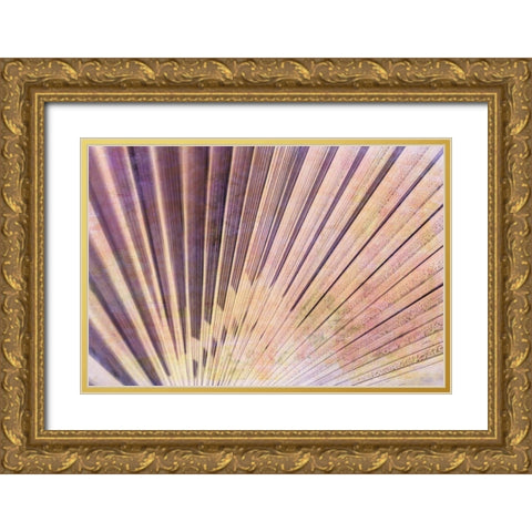Palm Leaf Elements II Gold Ornate Wood Framed Art Print with Double Matting by Vincze