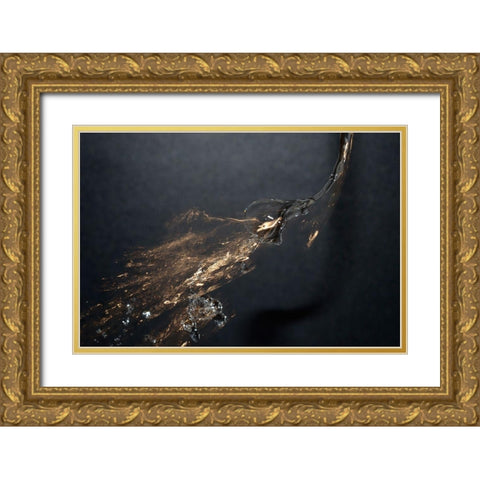 Gold Water Bubble Gold Ornate Wood Framed Art Print with Double Matting by Stahl, David