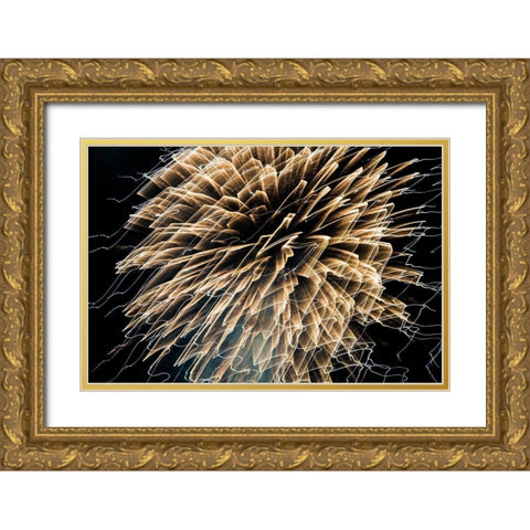 Gold Crazy Lines  Gold Ornate Wood Framed Art Print with Double Matting by Stahl, David