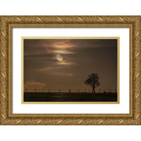Moon Tree Gold Ornate Wood Framed Art Print with Double Matting by Nocturna