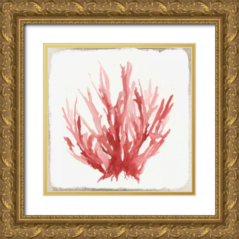 Red Coral I Gold Ornate Wood Framed Art Print with Double Matting by Wilson, Aimee