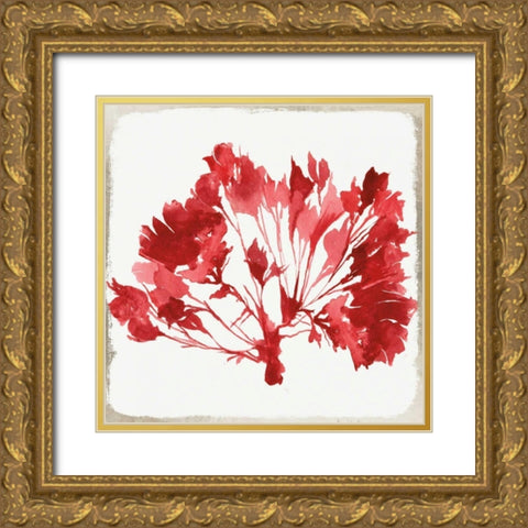 Red Coral IV Gold Ornate Wood Framed Art Print with Double Matting by Wilson, Aimee