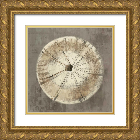 Sand Dollar I Gold Ornate Wood Framed Art Print with Double Matting by Wilson, Aimee