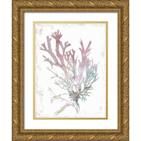 Pink Coral  Gold Ornate Wood Framed Art Print with Double Matting by Wilson, Aimee