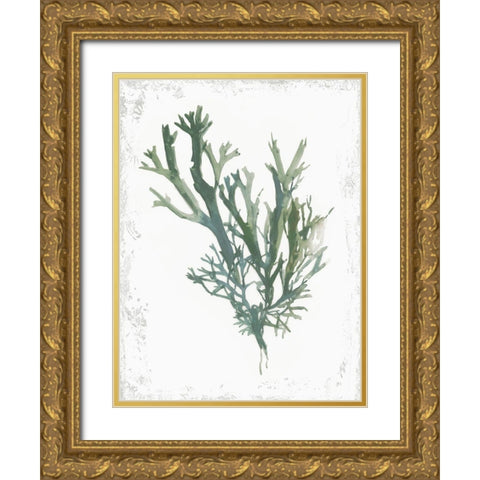 Emerald Coral I  Gold Ornate Wood Framed Art Print with Double Matting by Wilson, Aimee