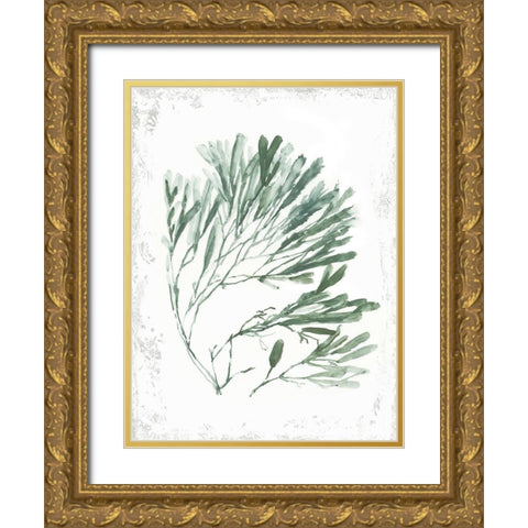 Emerald Coral II  Gold Ornate Wood Framed Art Print with Double Matting by Wilson, Aimee