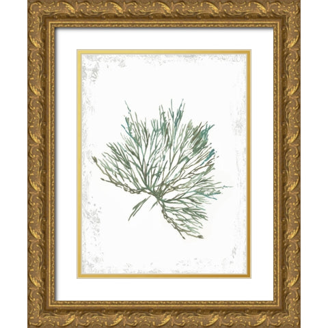 Emerald Coral III  Gold Ornate Wood Framed Art Print with Double Matting by Wilson, Aimee