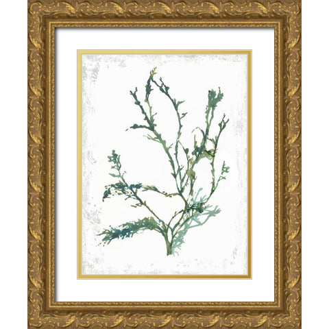 Emerald Coral IV Gold Ornate Wood Framed Art Print with Double Matting by Wilson, Aimee