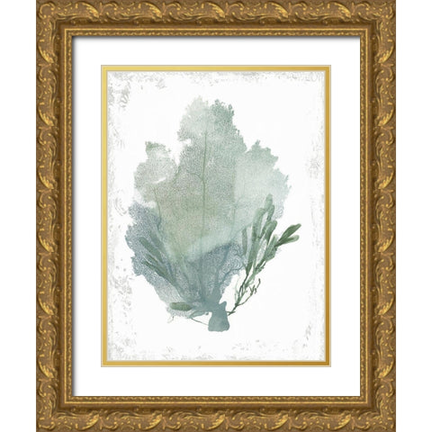 Teal Delicate Coral I  Gold Ornate Wood Framed Art Print with Double Matting by Wilson, Aimee